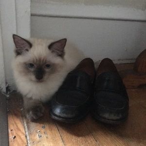 Meet your Posher, Sarah